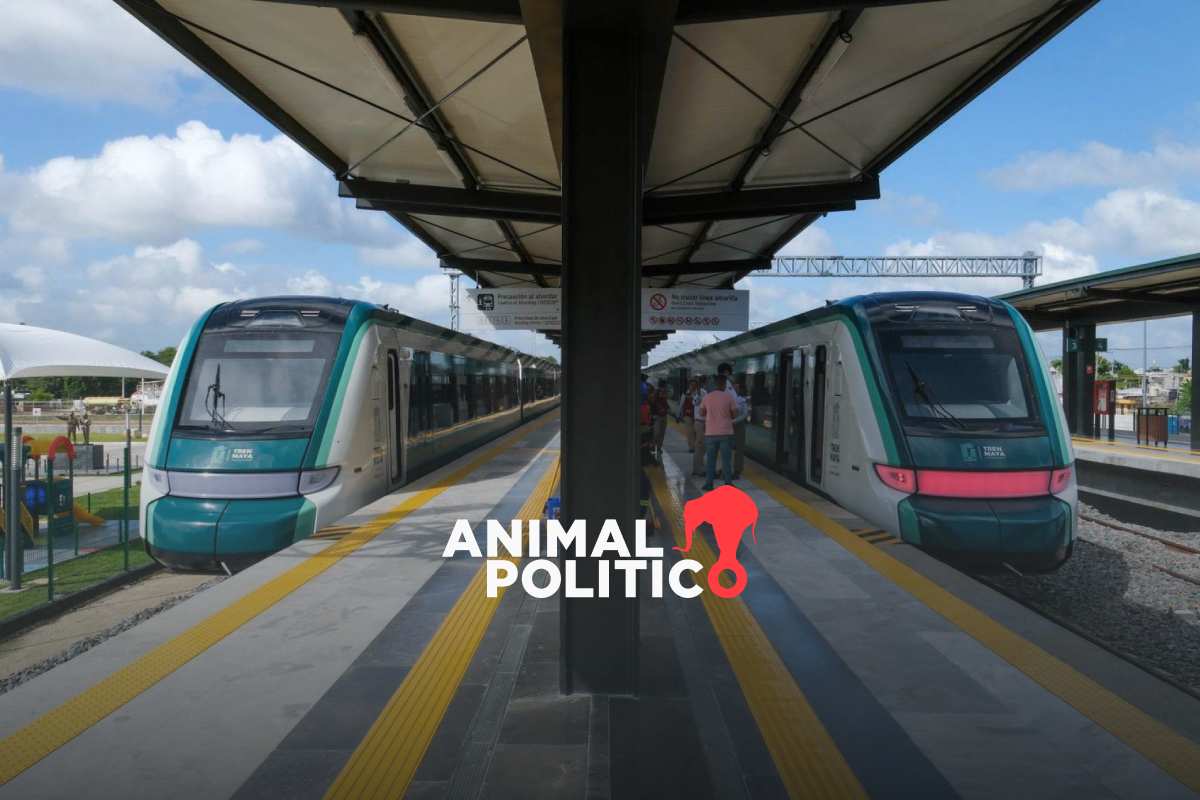 Nuevos trenes de pasajeros en México: en estas fechas iniciarán y terminarán de construirse las ruta