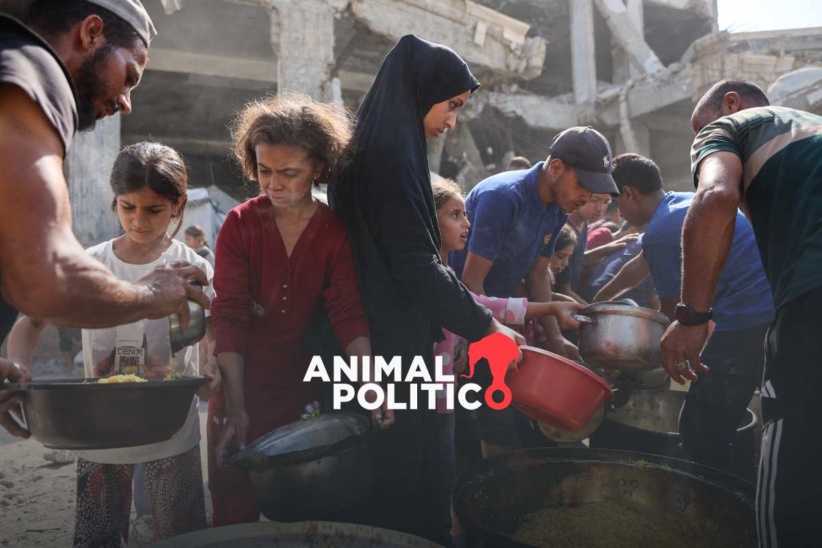 OMS advierte que el hambre en Gaza no disminuyó desde la tregua con Israel