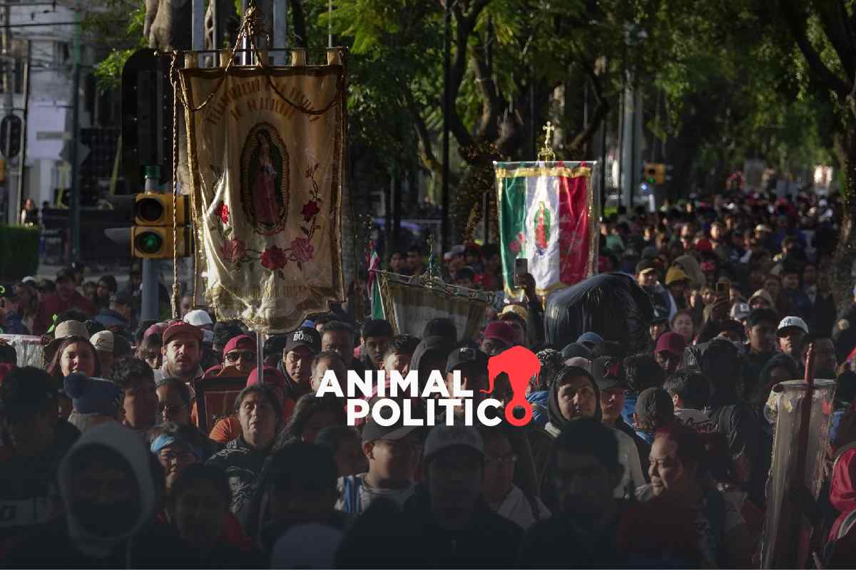 Operativo Basílica 2025: cortes viales, rutas alternas y recomendaciones