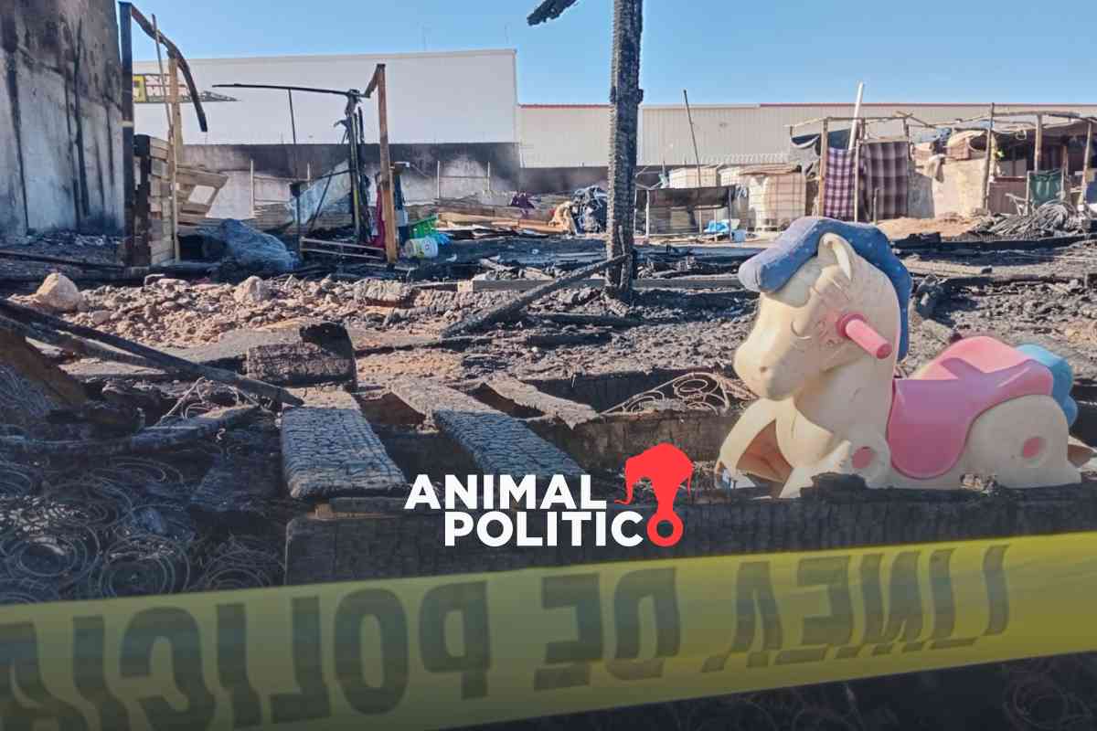 Operativo contra campamento migrante en Chihuahua dejó menores a la deriva y violaciones a derechos 