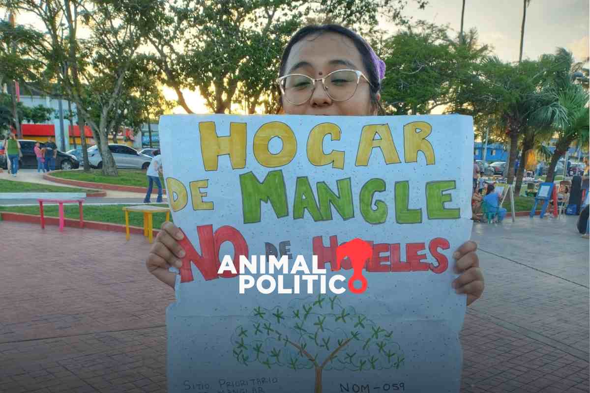 Ordenan reubicar hotel en la Laguna del Carpintero en Tampico; activistas piden estudios ambientales