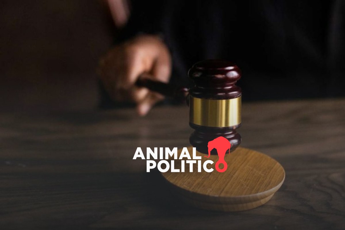 Órgano de Administración Judicial elimina seguros médicos; trabajadores acusan afectación a derechos