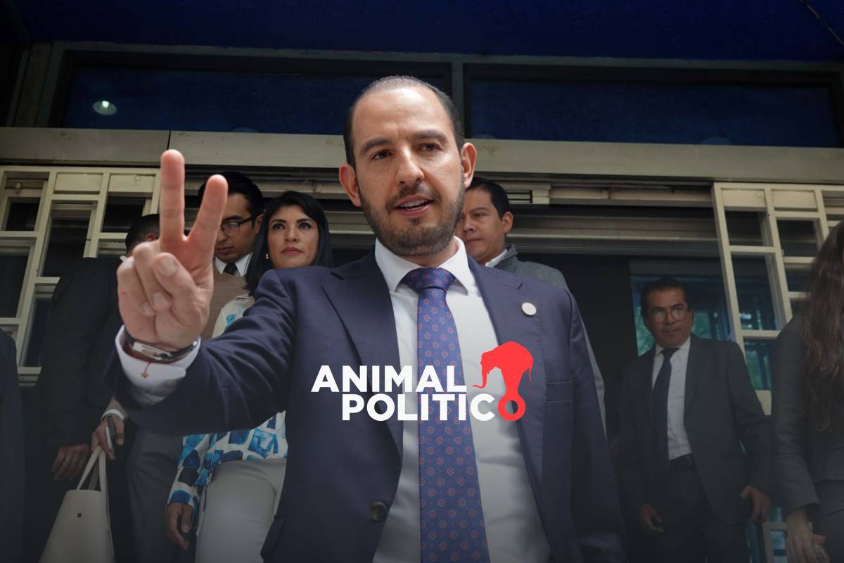PAN interpone acción de inconstitucionalidad en contra de reforma judicial