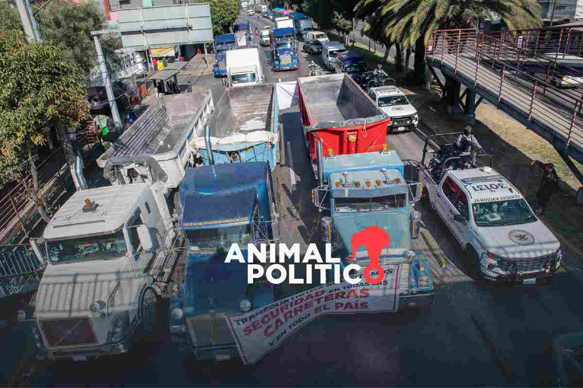  Paro de transportistas y campesinos: cierres en 17 entidades afectaron a la ciudadanía, dice Segob