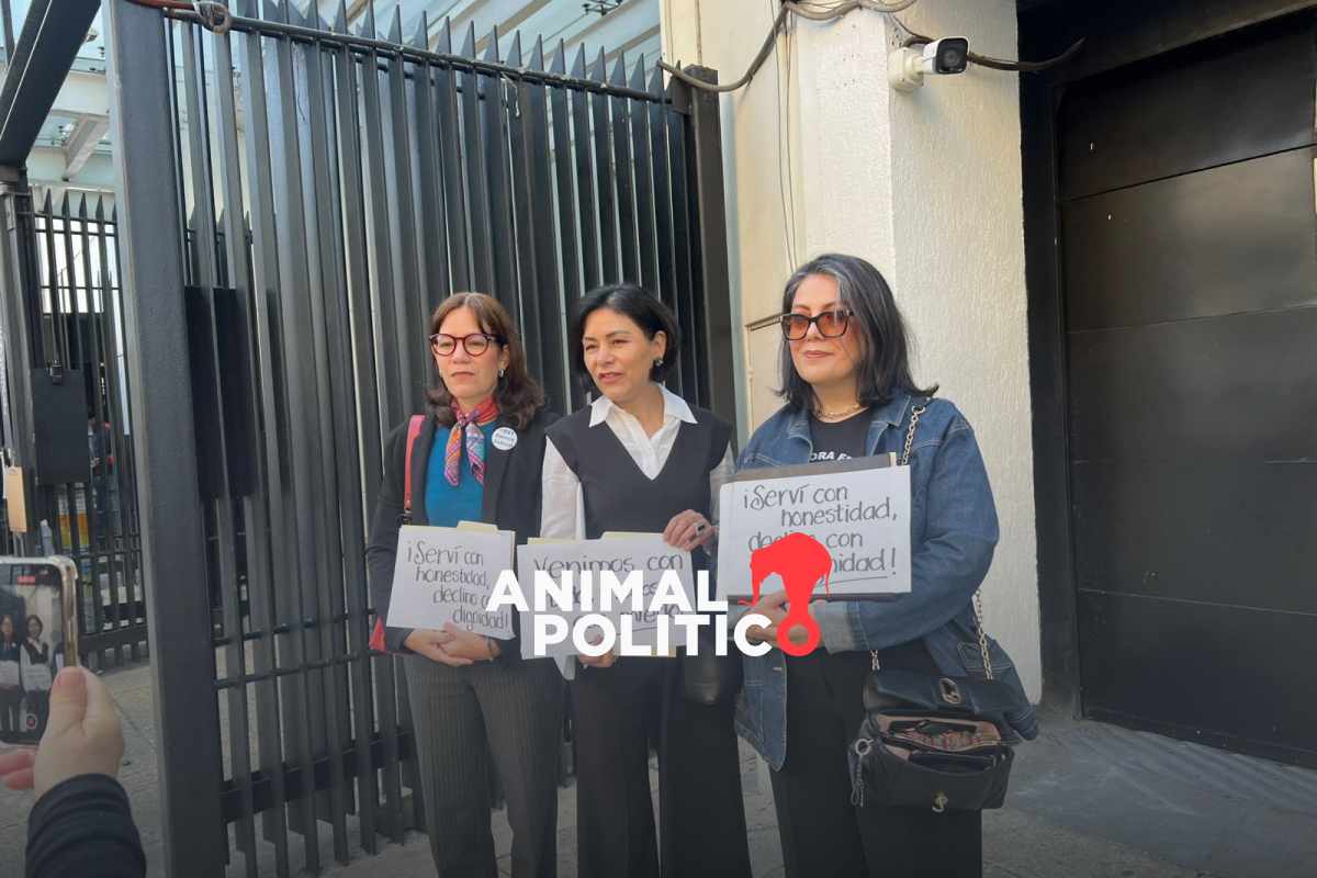Magistrada denuncia que aparece en lista de candidatos a elección judicial pese a que no se postuló