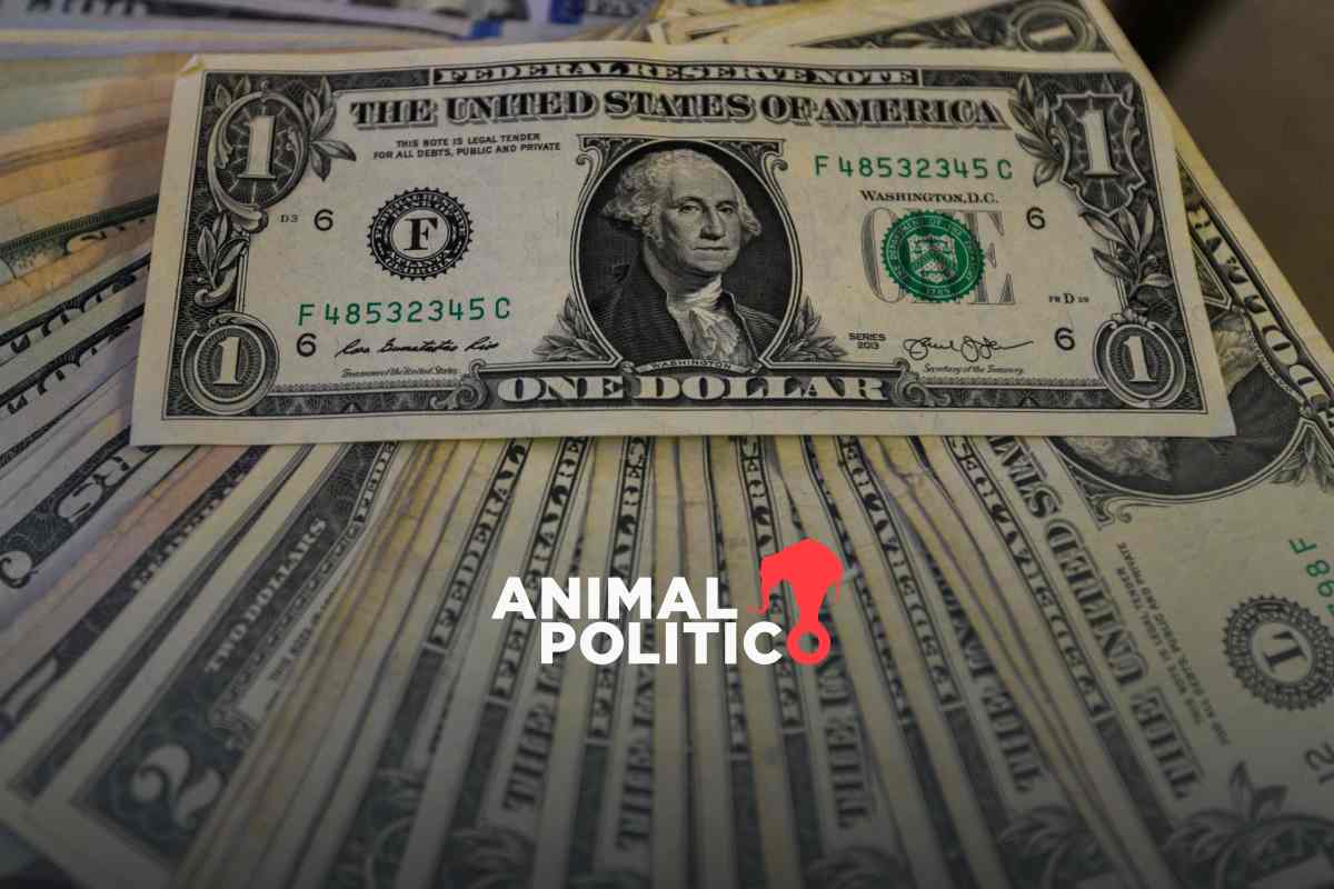 Peso cierra octubre con caída de 0.52 % al aprobarse reformas judicial y supremacía constitucional