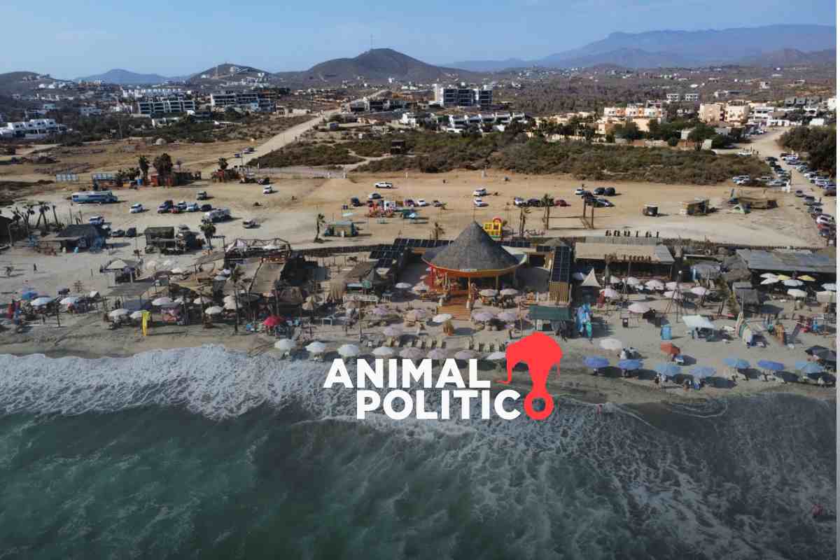 Playa Cerritos, BCS: prestadores de servicios piden a Semarnat ordenar área; reclaman terrenos