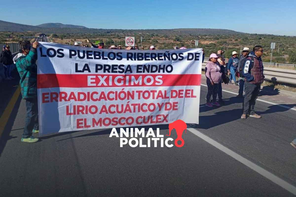 Pobladores de Tula, Hidalgo, bloquean Arco Norte; exigen fumigación y limpieza de presas