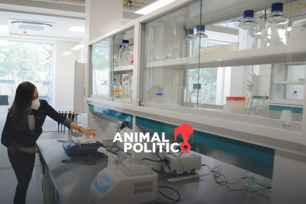 Por falta de presupuesto dejan a estudiantes del Cinvestav sin becas