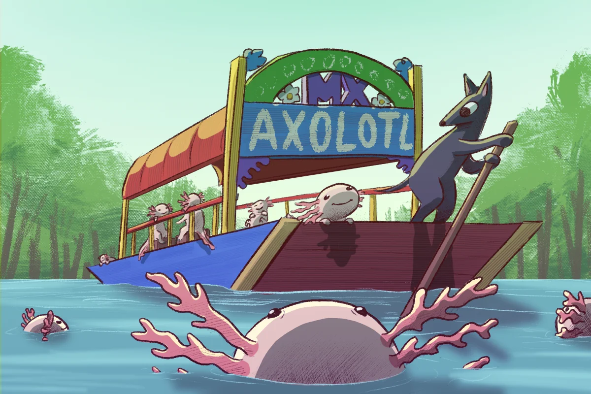 Refugios chinamperos: la oportunidad para restaurar el humedal y el hogar del ajolote mexicano