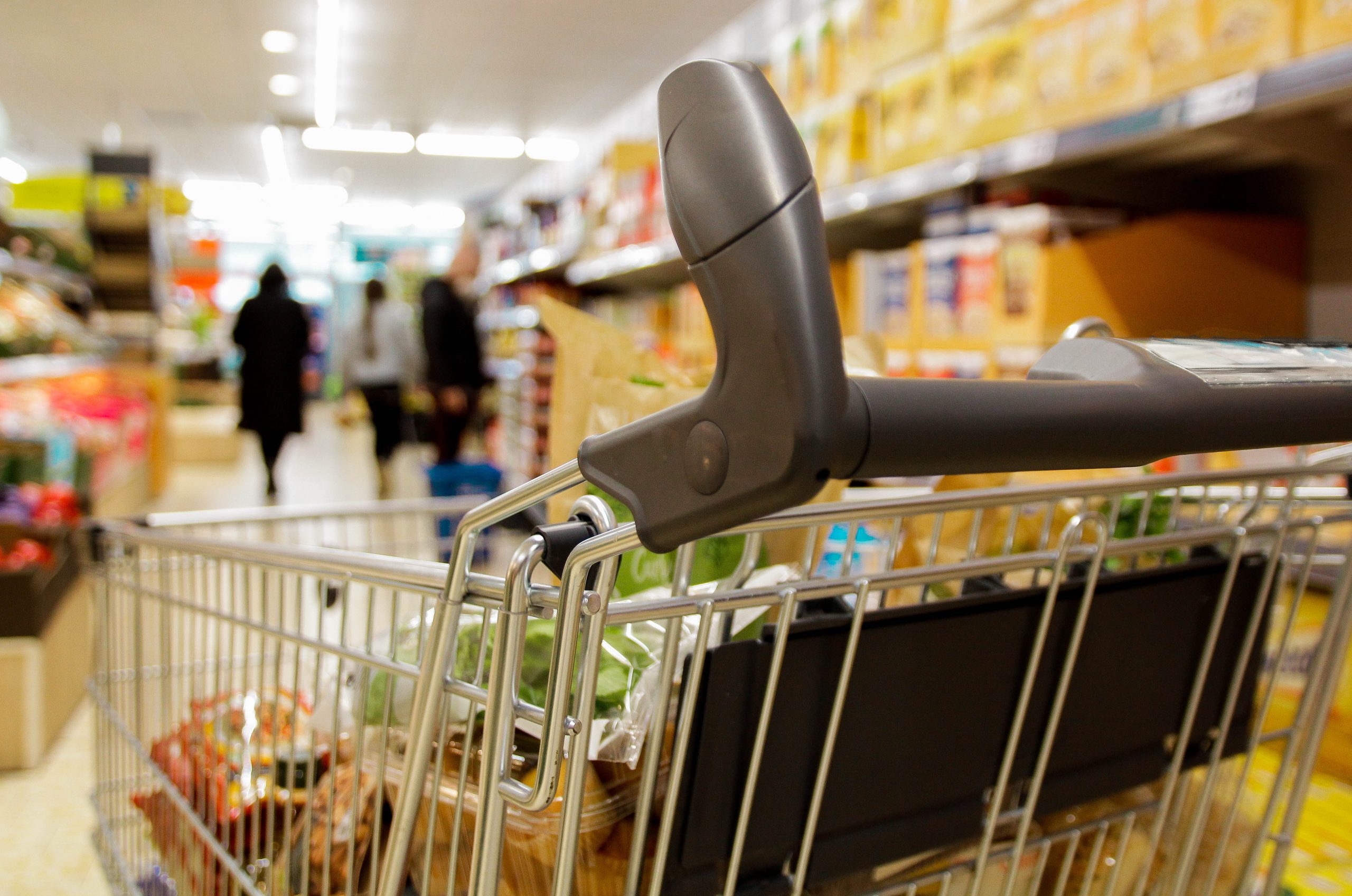 Conoce los precios de los alimentos de la canasta básica en 2023