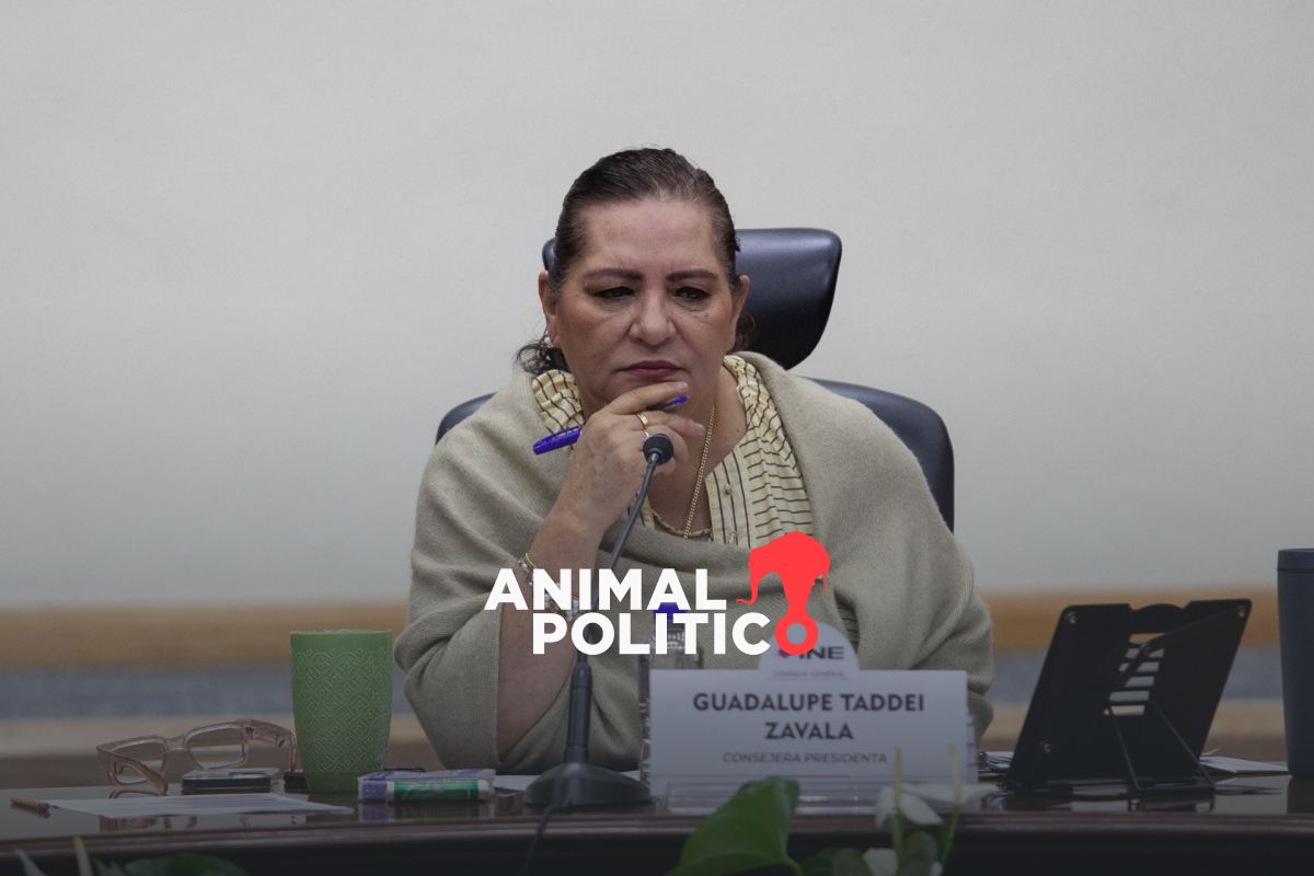 Preocupa al INE que aumenten las investigaciones contra consejeros, tras resolución del TEPJF