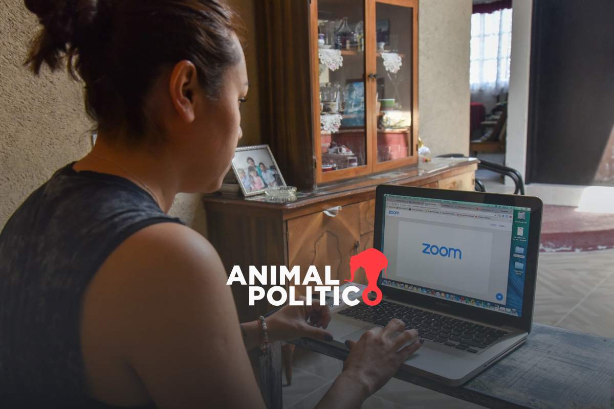 Prepa en línea SEP: así puedes estudiar el bachillerato por internet y tener certificado gratis