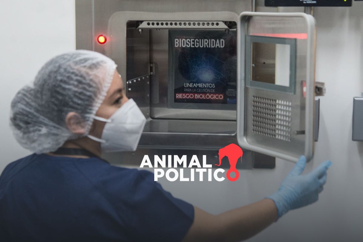 Primer Informe: más becas y proyectos de investigación; persiste precariedad en el sector científico