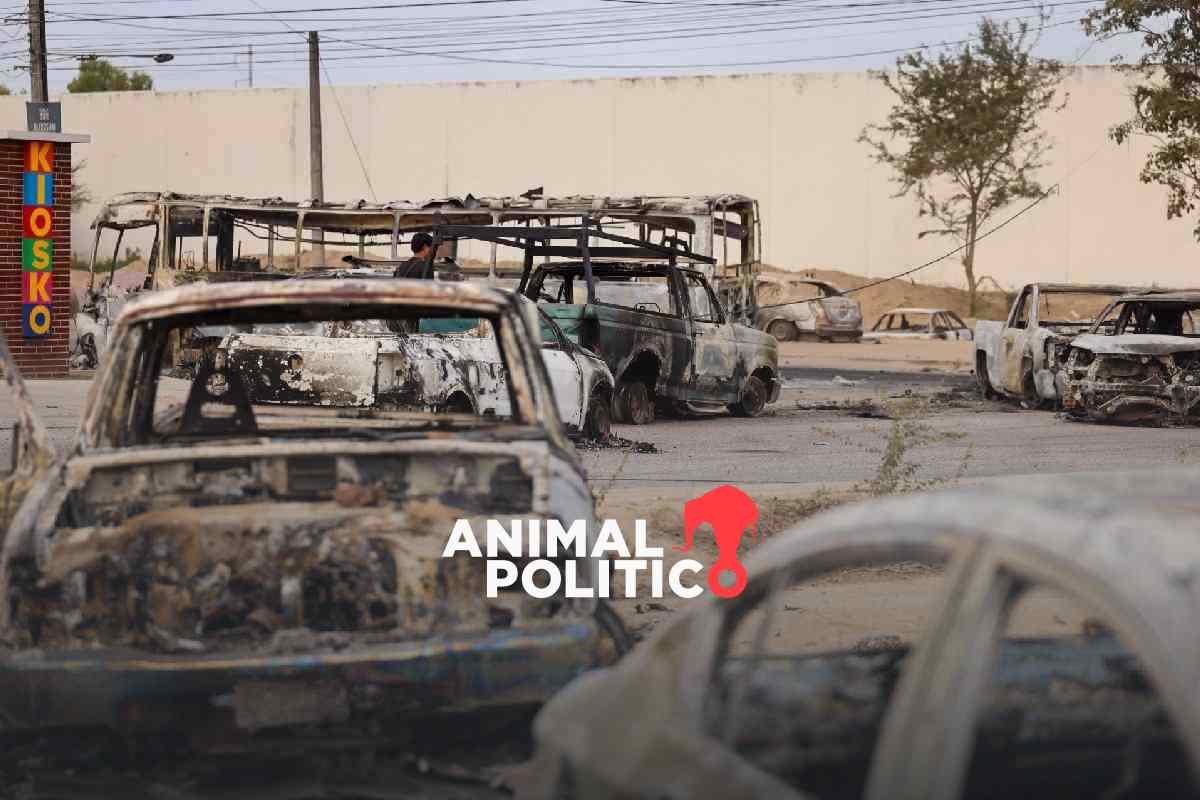 Vinculan a proceso a dos detenidos en operativo contra "El Mencho" en Tapalpa, Jalisco