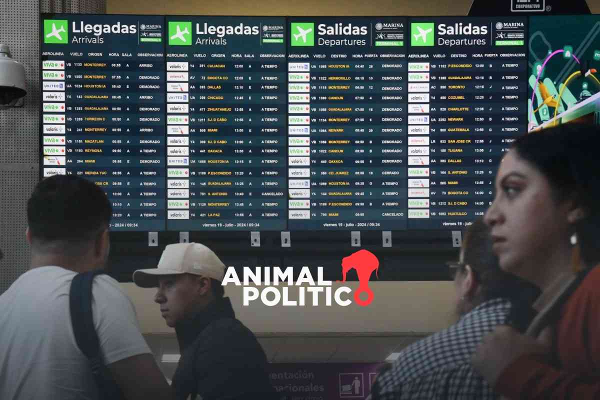 ¿Perdiste tu vuelo por el fallo mundial de Microsoft? Profeco explica si puedes pedir indemnización