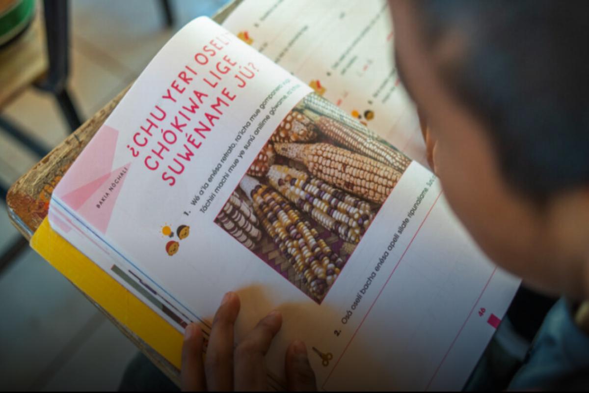 Proponen en Chihuahua declarar el 1 de marzo como Día de la Educación Indígena en México