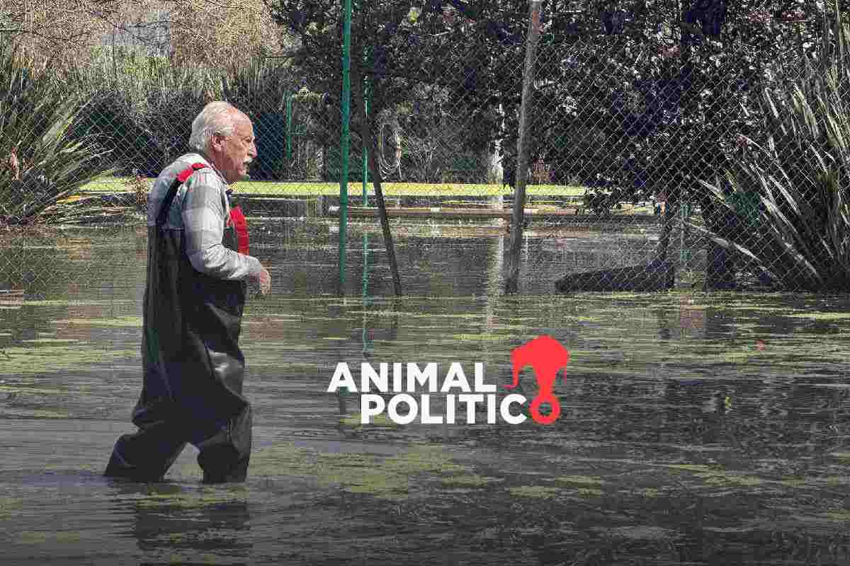 Santa Cruz Chignahuapan: la comunidad olvidada bajo un río de aguas negras en el Estado de México