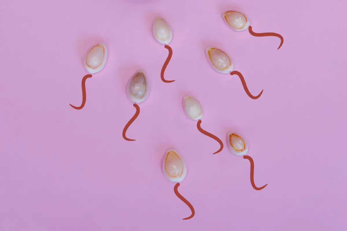 ¿Por qué la ciencia ahora dice que "usar" el esperma es mejor que guardarlo?