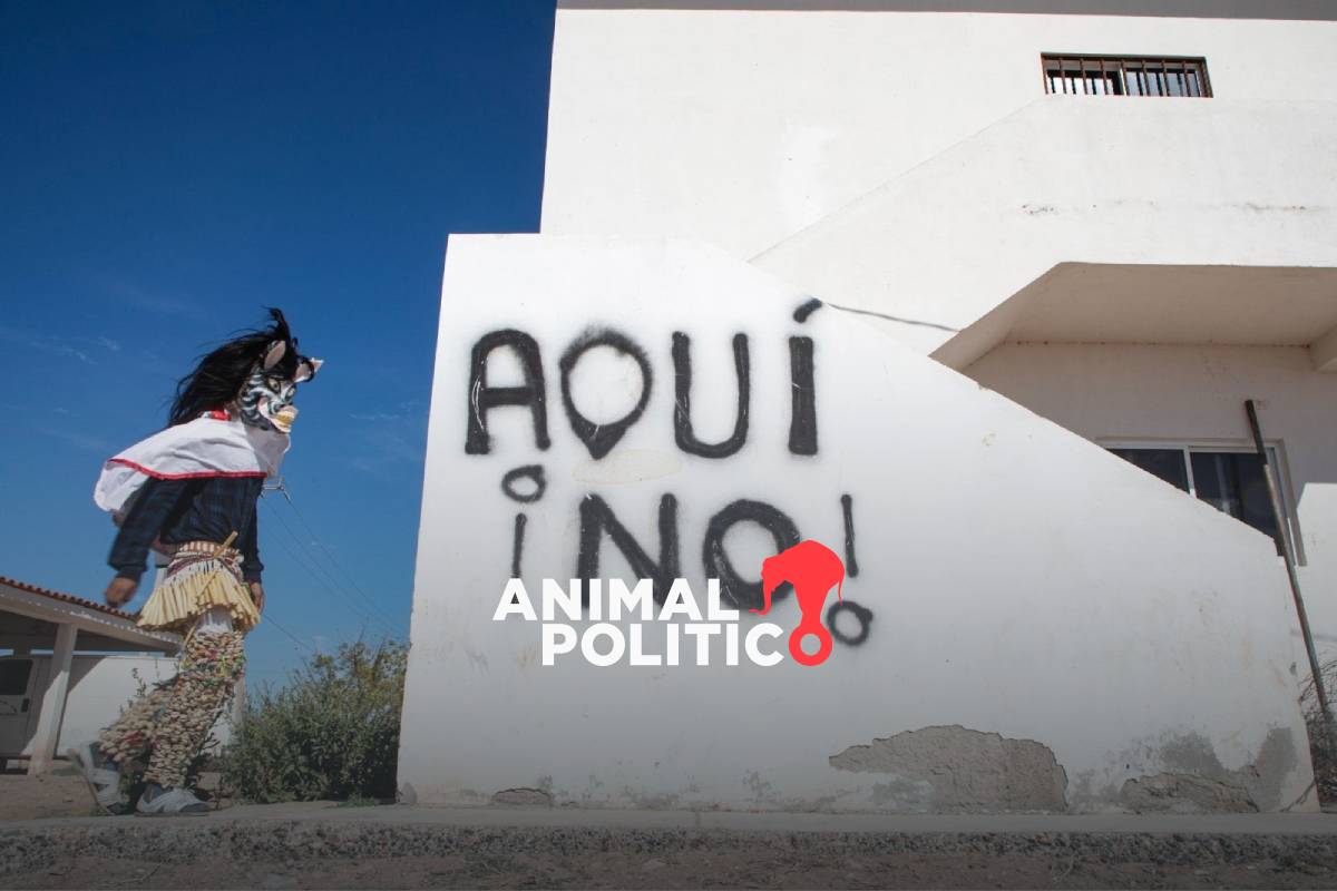 Pueblos Mayo-Yoreme buscan que banco alemán retire financiamiento a Planta de Amoniaco en Sinaloa