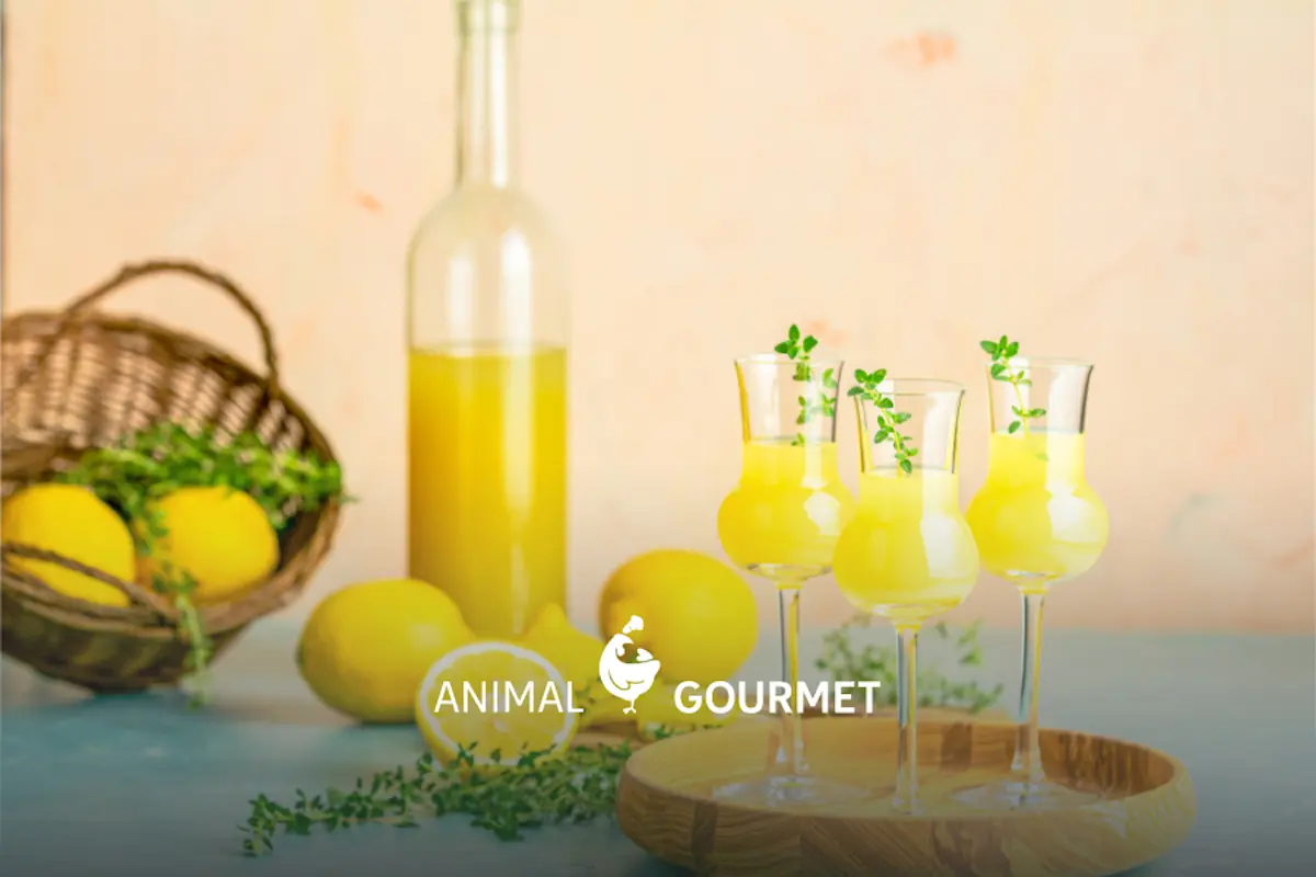 Qué es el Limoncello: el licor italiano con un toque cítrico que ¡nos encanta!