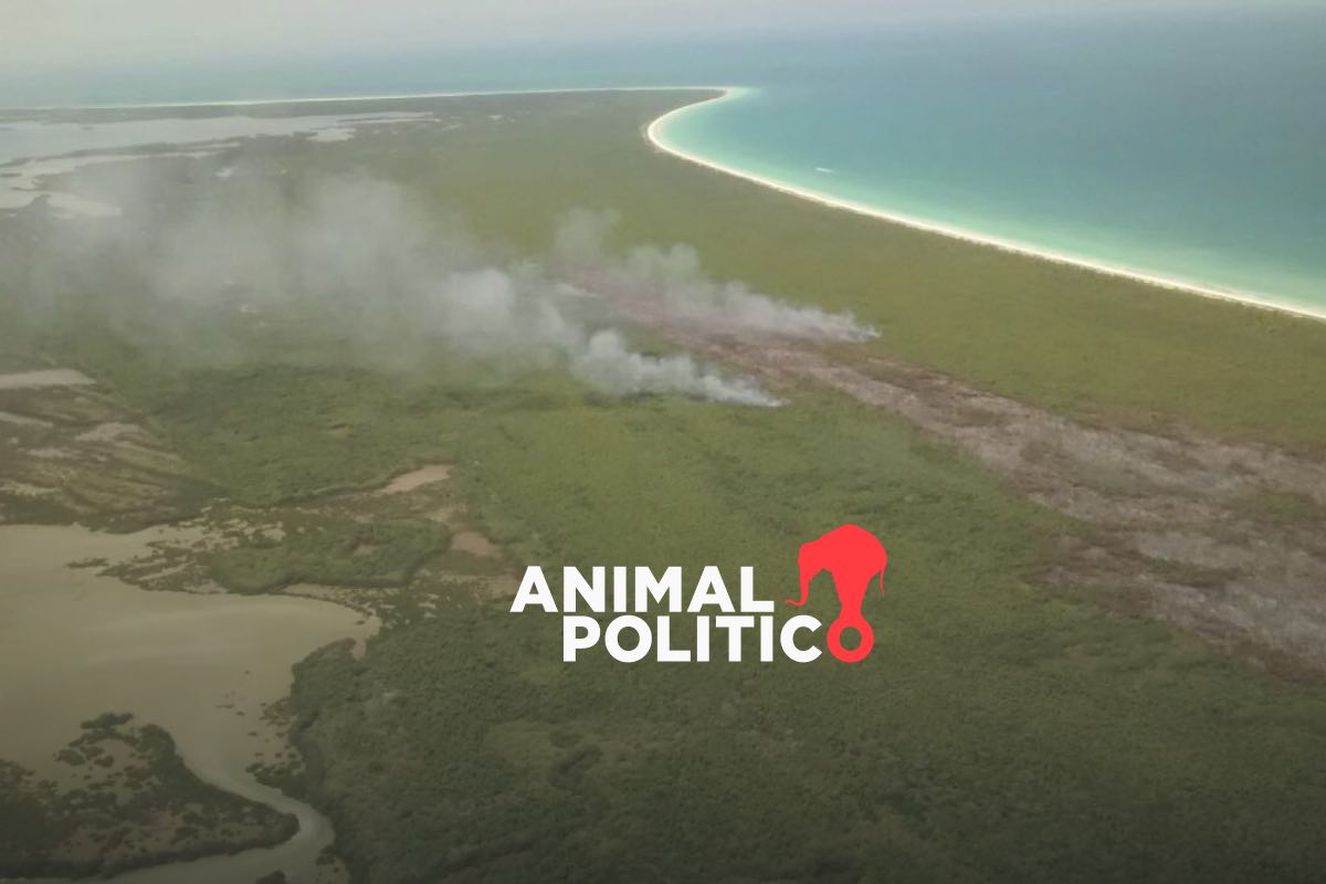 Proyecto de Presupuesto 2026 deja 91 Áreas Naturales Protegidas sin plan de conservación