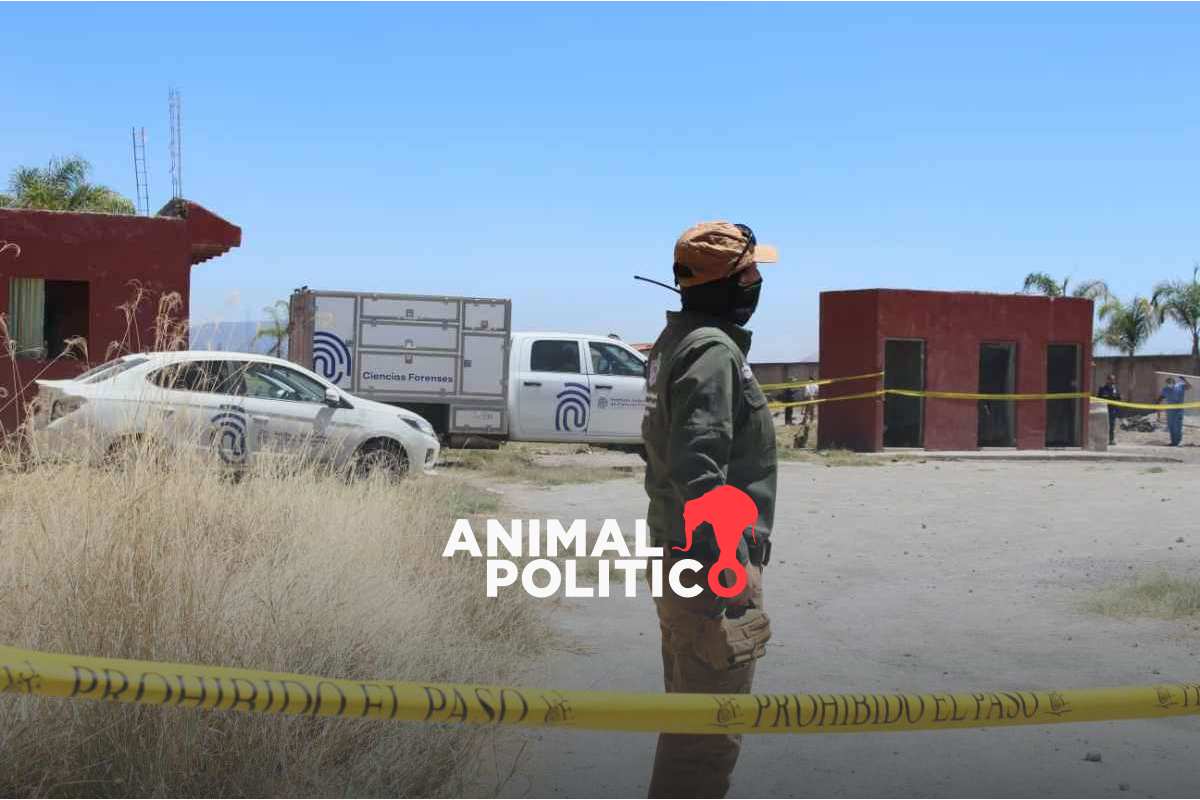 Rancho de Teuchitlán era centro de adiestramiento y no un campo de exterminio, dice Sheinbaum