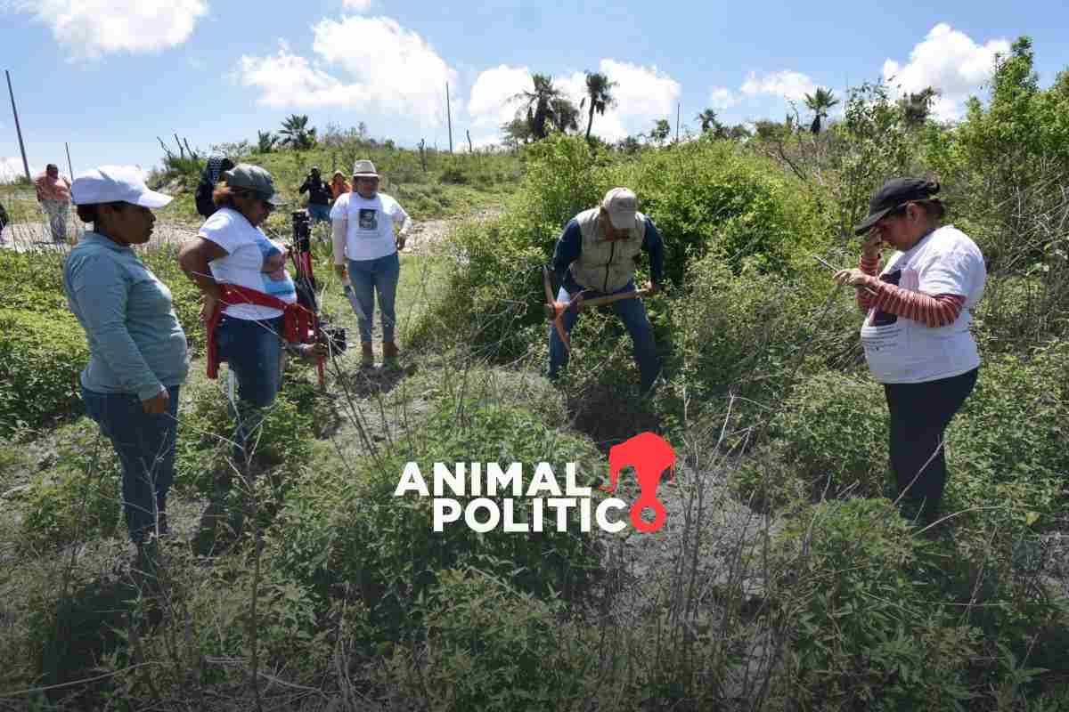 Recuperan 24 cuerpos localizados en una fosa clandestina en Zapopan, Jalisco