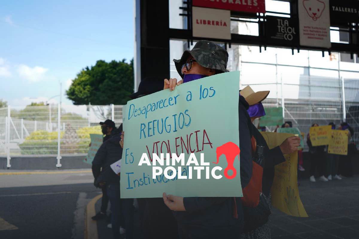 “Refugios para mujeres, lugar de esperanza”: sobrevivientes insisten en que se garanticen recursos