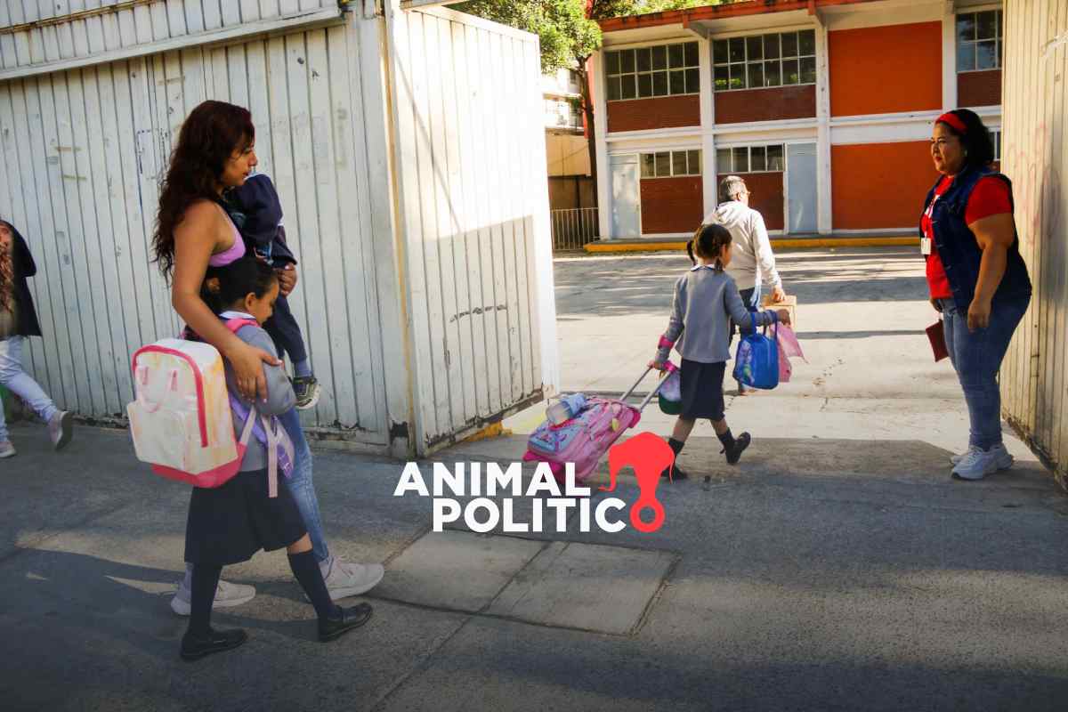 Regreso a clases: estos son los puentes y descansos según el calendario escolar 2025-2026