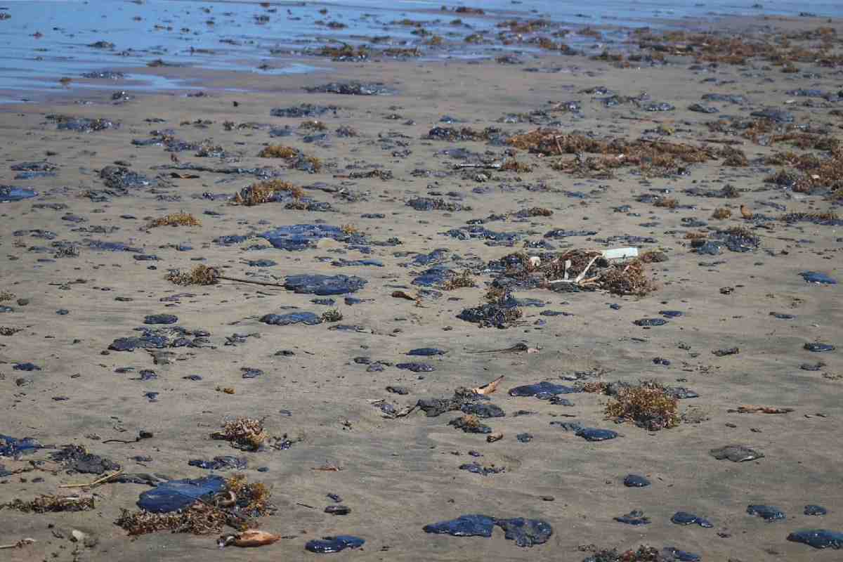 Restos de hidrocarburo playas mexicanas