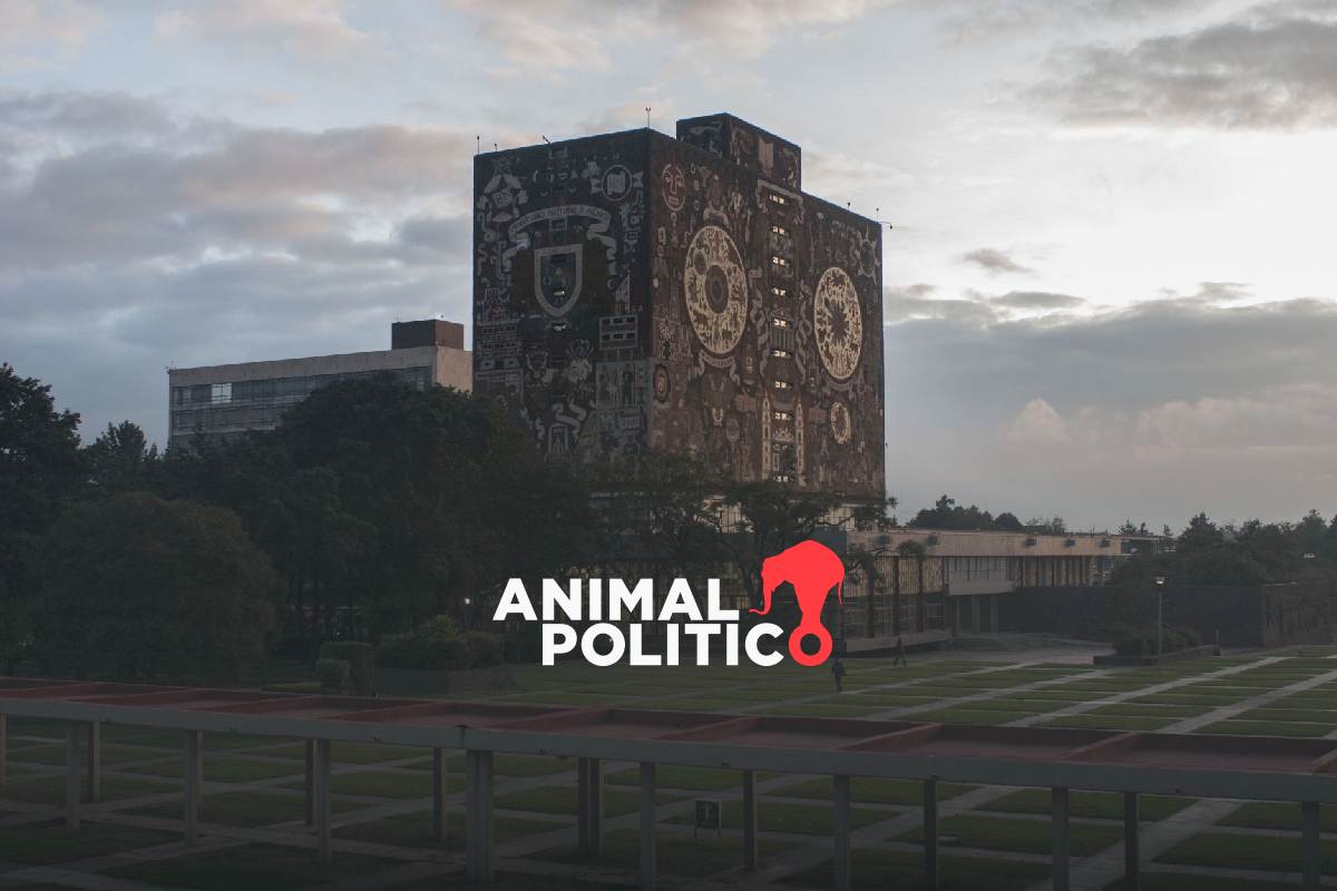 ¡Ya salieron! ¿Cómo consultar los resultados de la UNAM a nivel licenciatura 2024?