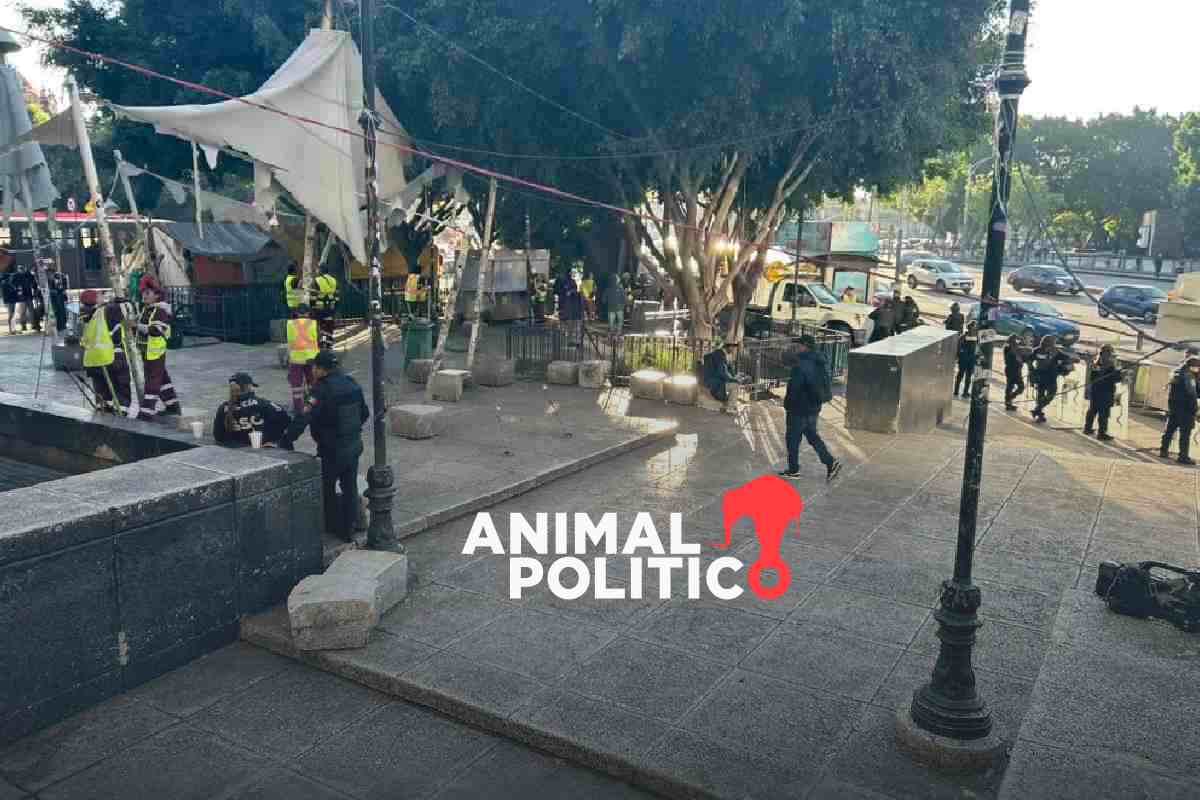 Reubican puntos cannábicos en CDMX; estos son los nuevos espacios para consumo de marihuana