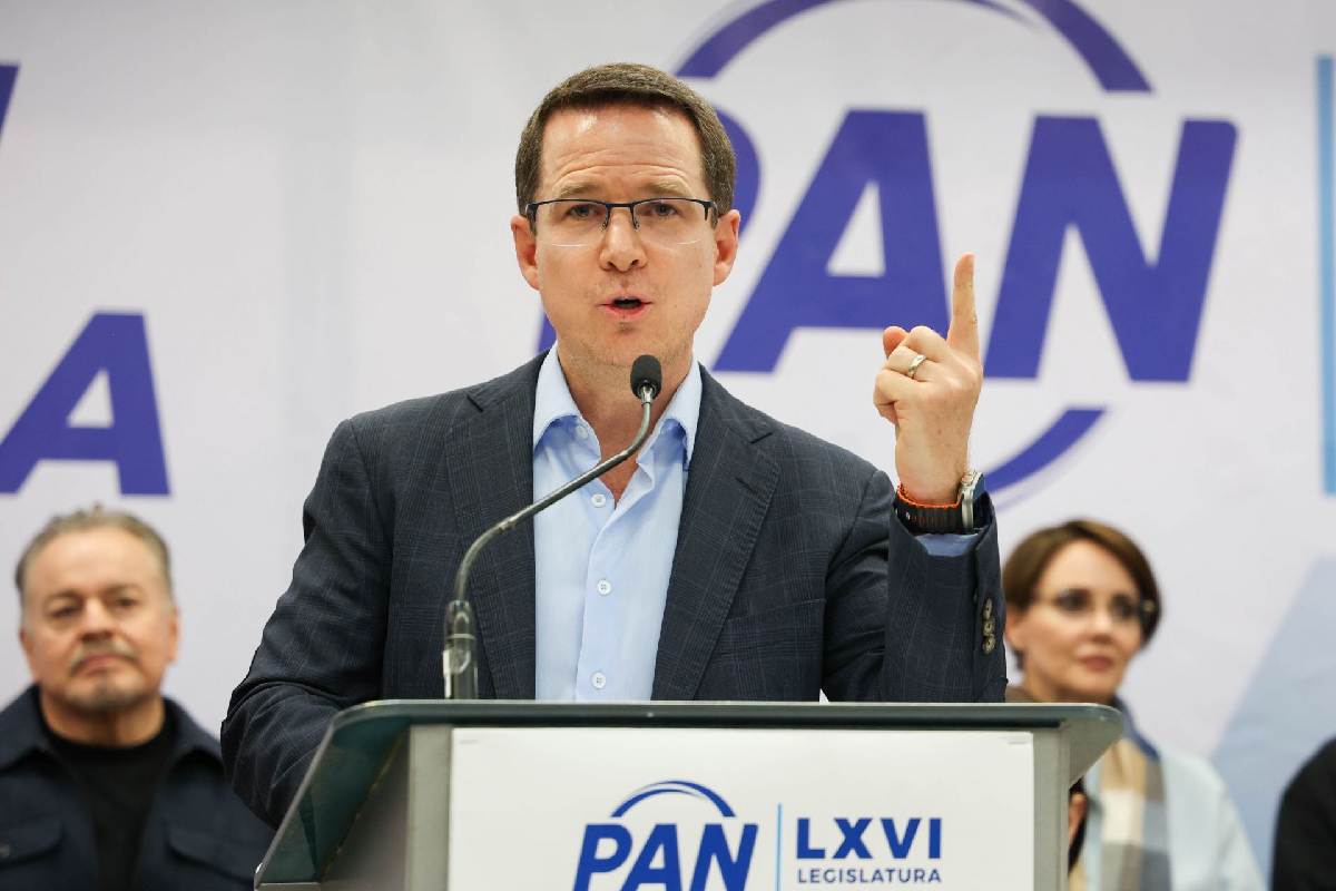 Ricardo Anaya PAN reformas millonarias