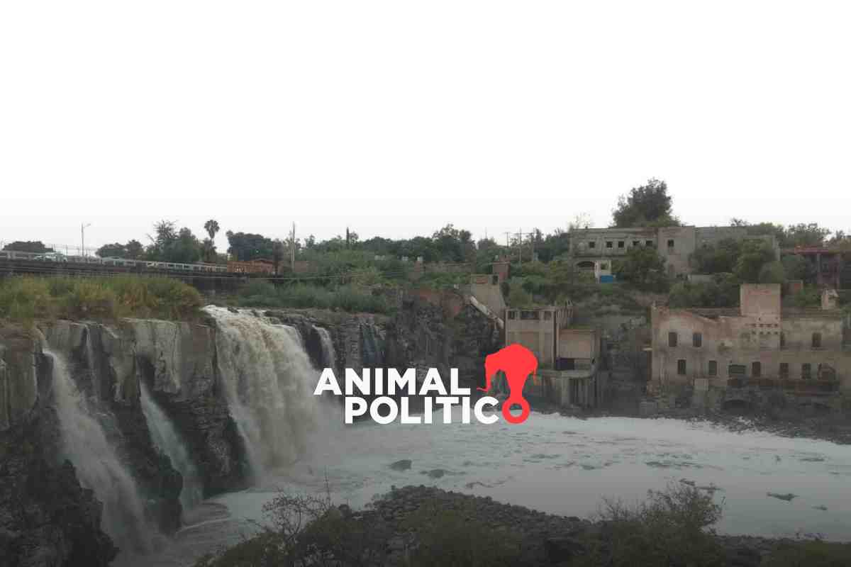 El 70% de los ríos están contaminados en México; Sheinbaum enfrenta el reto de recuperarlos