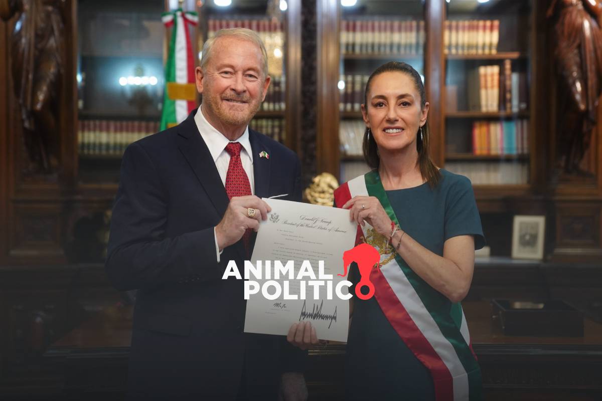 Ronald Johnson, nuevo embajador de EU, dice que trabajará con Sheinbaum en seguridad y migración