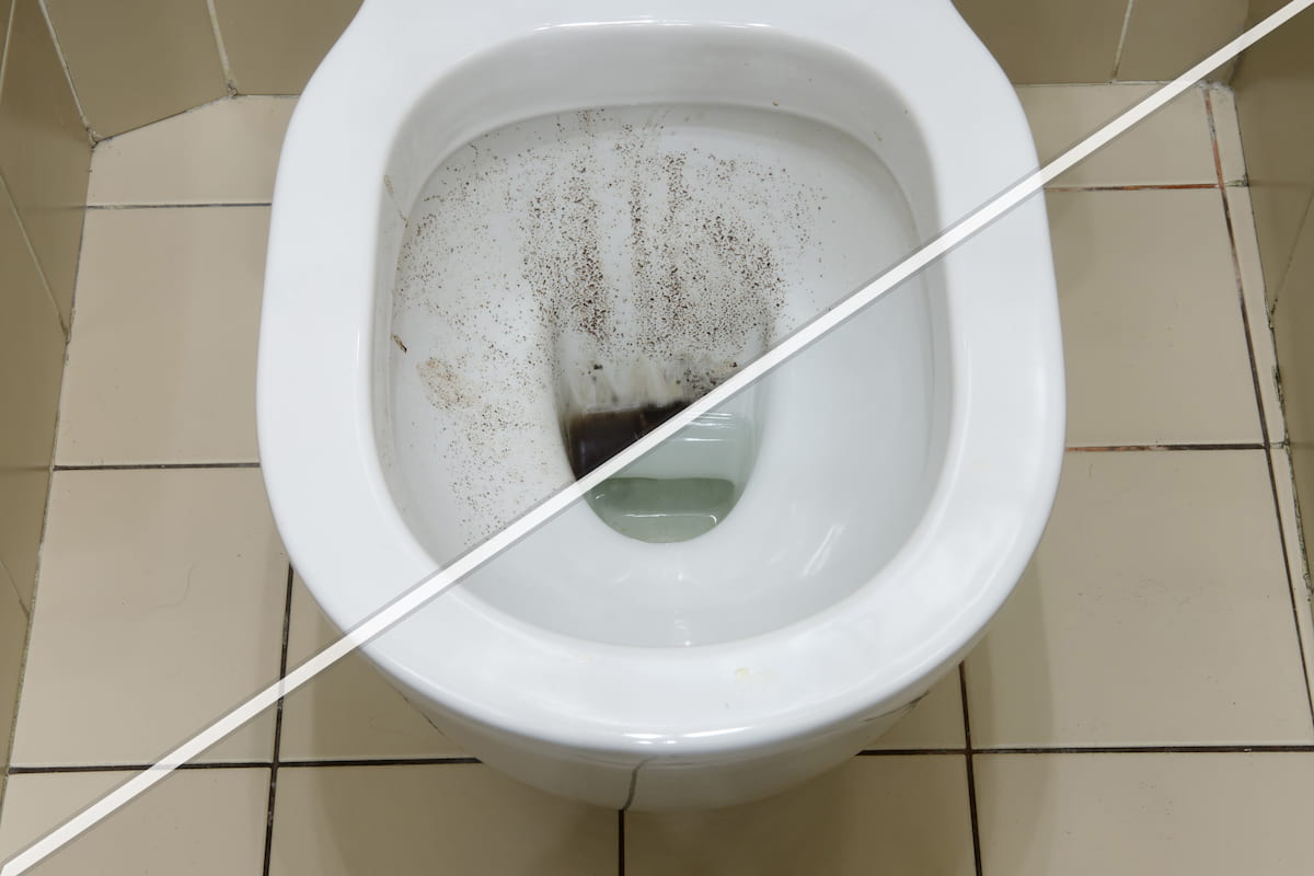 Sal en el inodoro