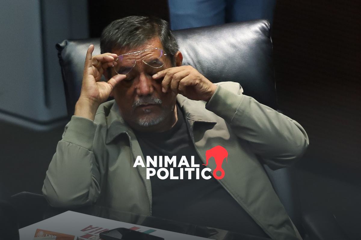 Salgado Macedonio y Monreal respaldan reforma de nepotismo de Sheinbaum; niegan que sea dedicada 