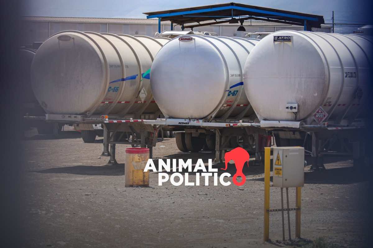 Sedena dio 11 mdp, sin contrato, a Ecocarburante, empresa implicada en red de huachicol fiscal