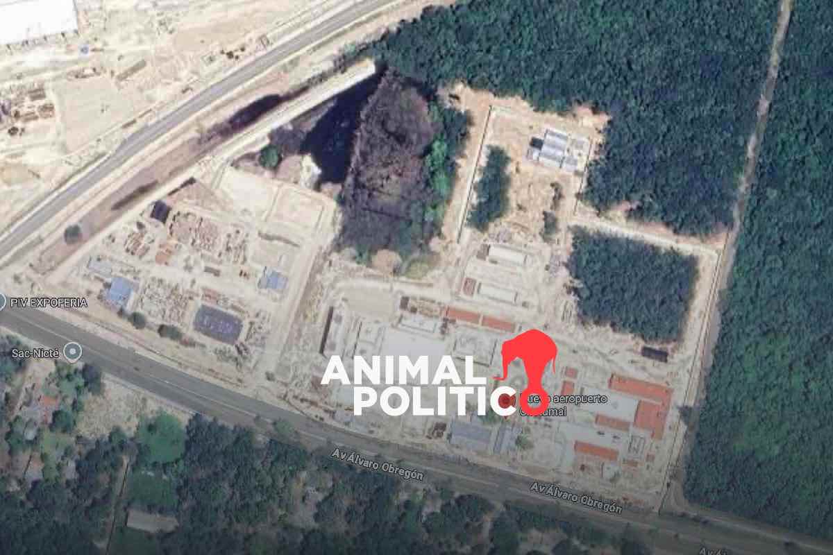 Semarnat niega permiso ambiental a Sedena para obra militar casi terminada en Chetumal, Quintana Roo