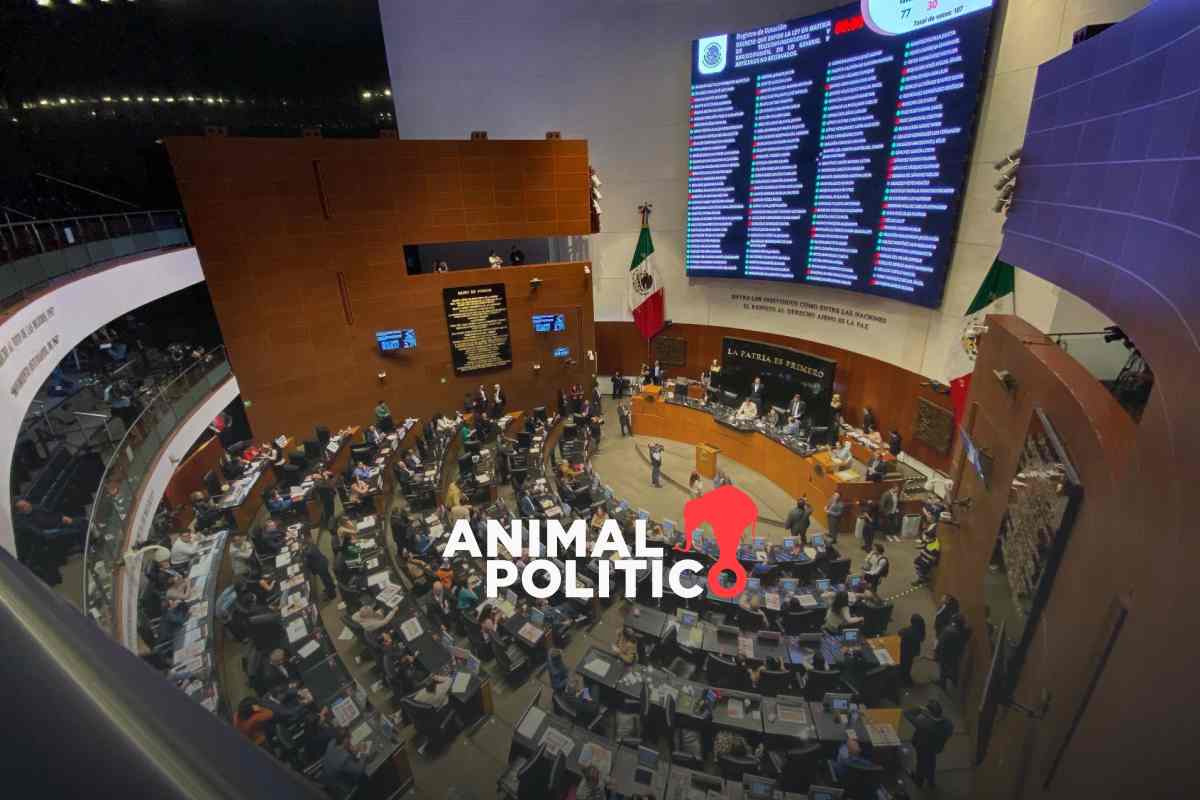 Senado aprueba Ley Nacional de Seguridad Pública y la manda al Ejecutivo para su promulgación