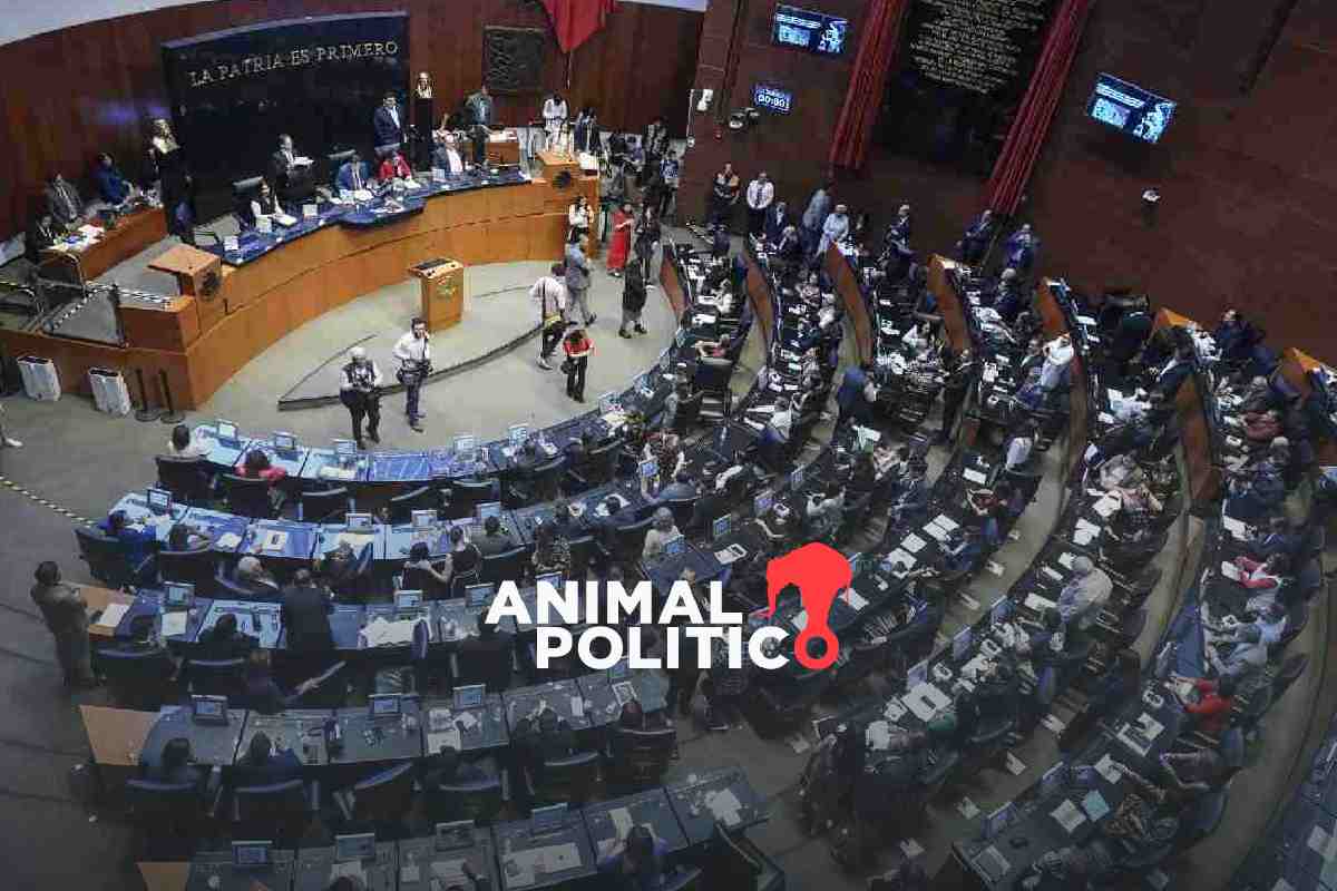 Senado avala reforma que permite portar armas a algunos funcionarios, ejidatarios y comuneros
