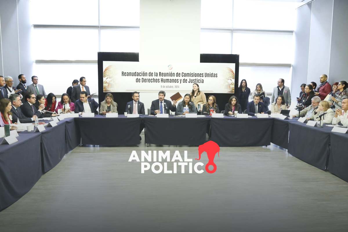 Senado lanza convocatoria para presidir la CNDH; Rosario Piedra podrá contender si decide reelegirse