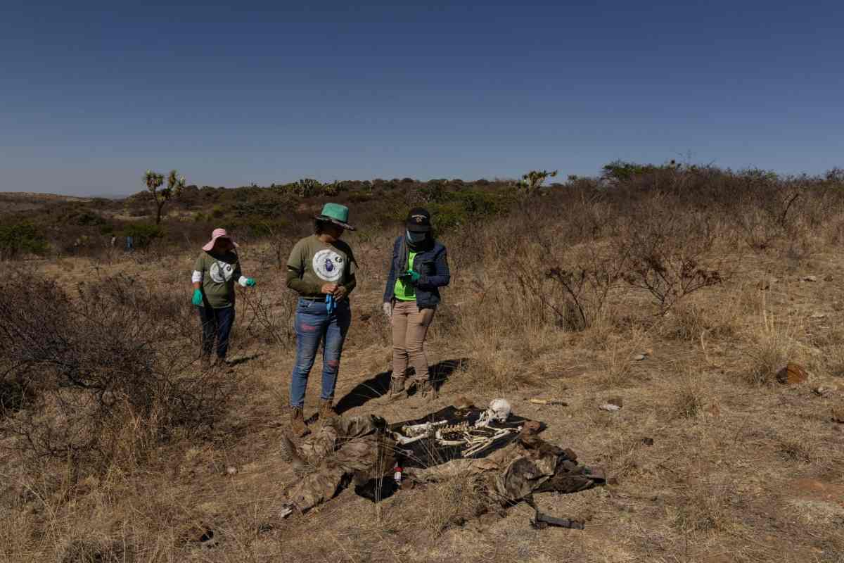 Sentencian asesino de buscador Francisco Javier Piña; organización dice que hay retos en la justicia