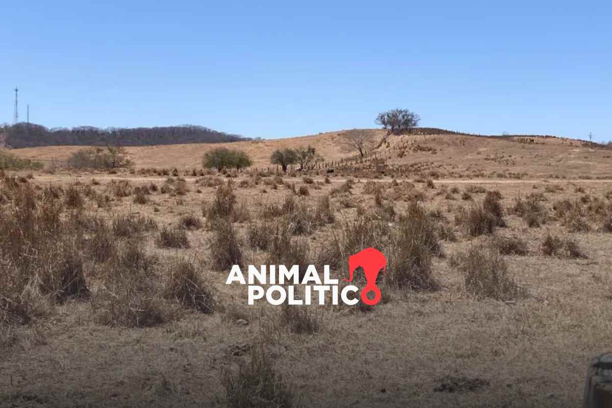 Sequía golpea a más de 2 mil personas en Concordia, Sinaloa; autoridades piden ayuda urgente