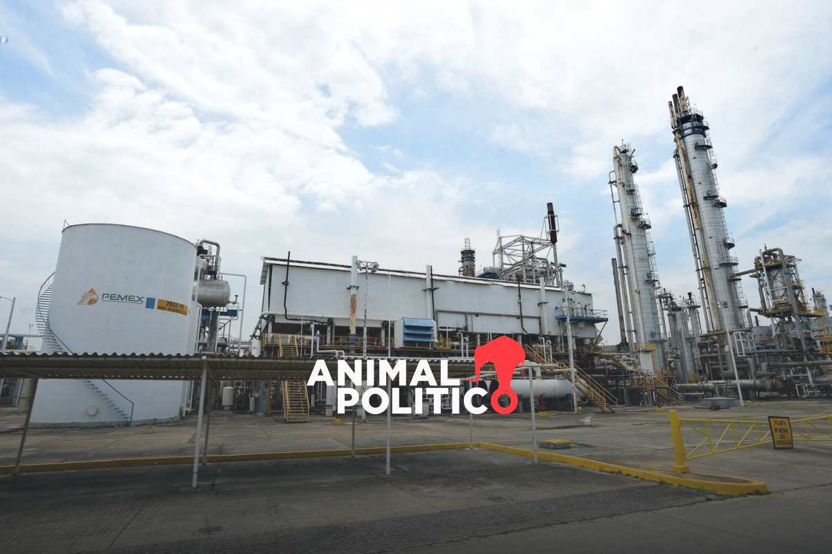 Sheinbaum anuncia que recuperará petroquímica de Pemex para elaborar fertilizantes en Veracruz