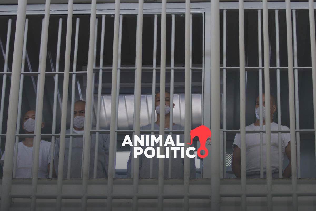 Sheinbaum, cerca de romper el récord histórico de personas privadas de la libertad: las cifras clave