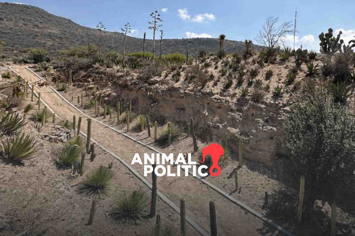 "Semarnat va a buscar otro sitio": Sheinbaum confirma cancelación de parque ecológico en Hidalgo