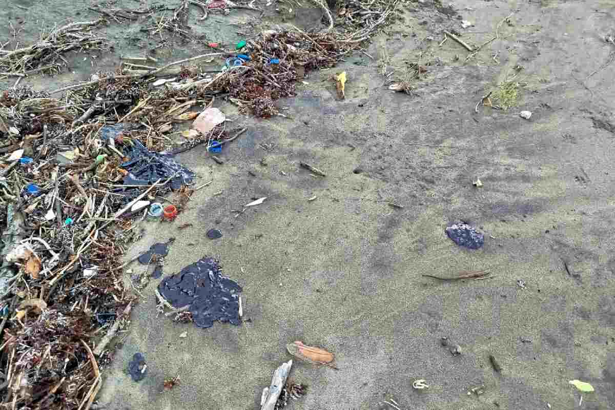 Sheinbaum confirma “otras manchas” de petróleo en el Golfo; Greenpeace defiende evidencia satelital