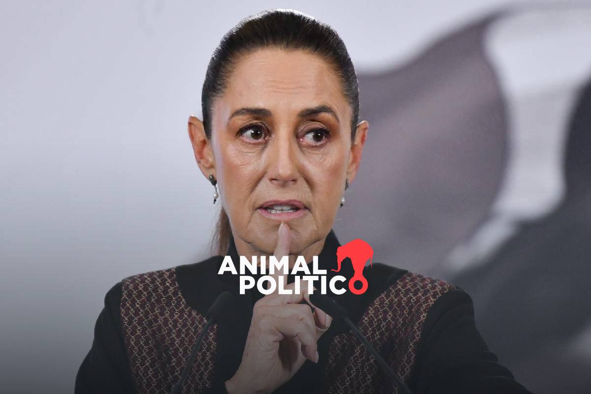Sheinbaum defiende eliminación de listas "pluris" en reforma electoral ante diferencias con el PVEM